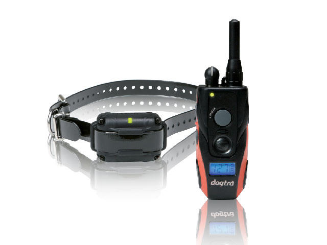 shock collar, remote training collar, Dogtra, dog training